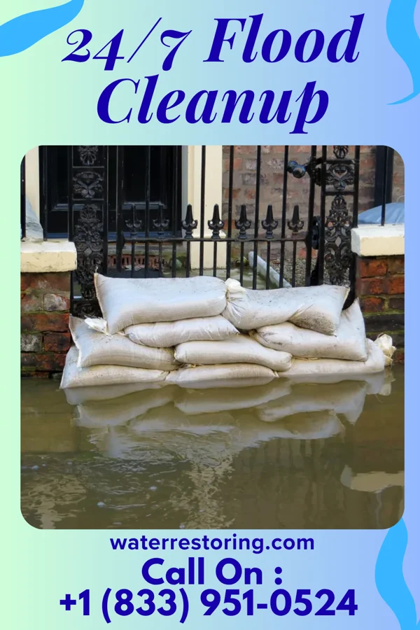 24/7 Flood Cleanup in Tunnelton, WV