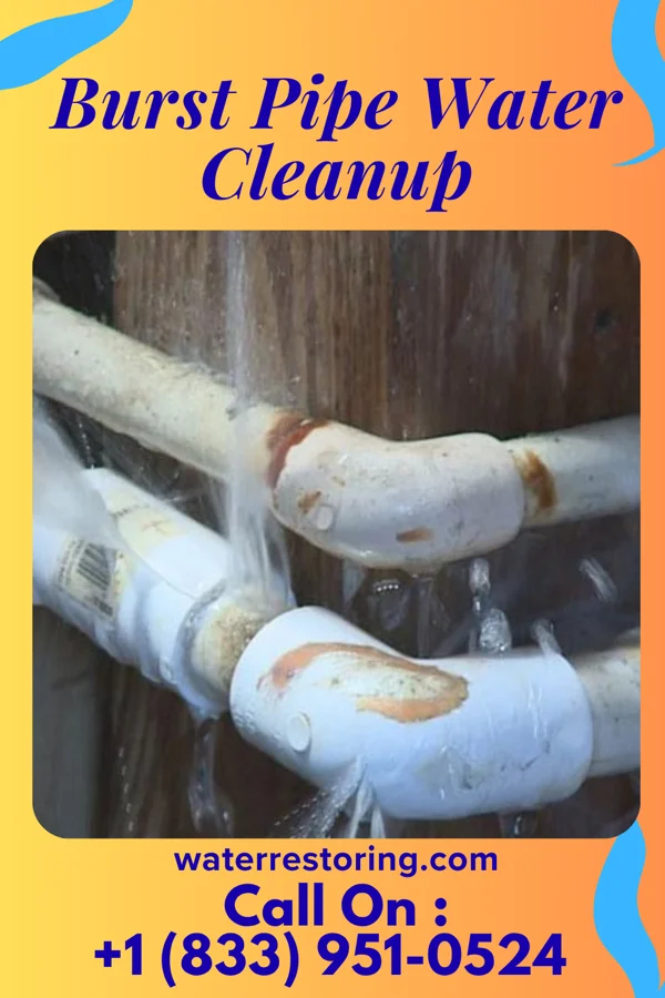 Burst Pipe Water Cleanup in Tunnelton, WV