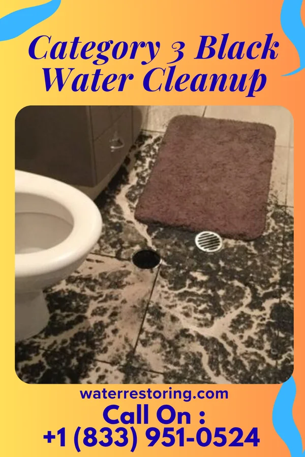 Category 3 Black Water Cleanup in Tunnelton, WV