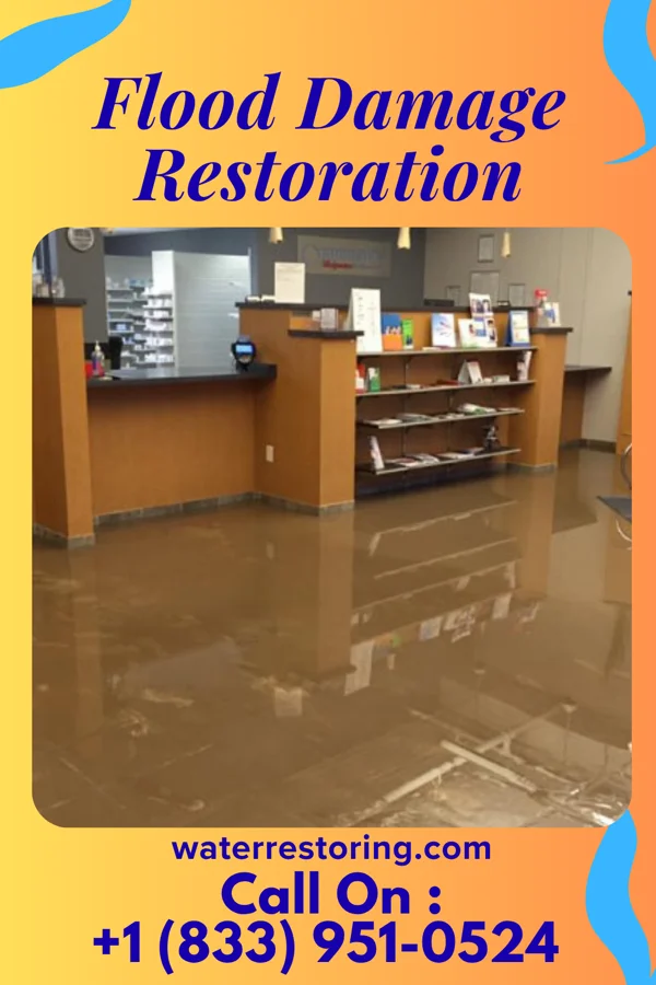 Flood Damage Restoration in Tunnelton, WV