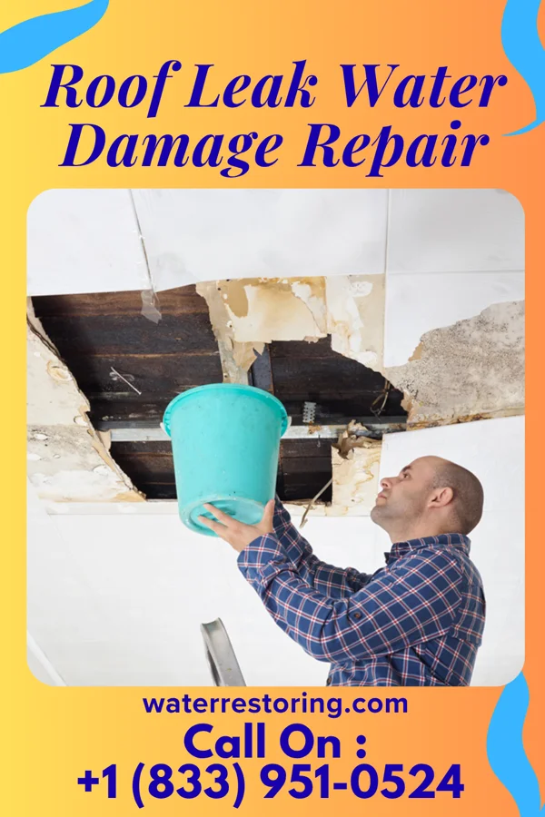 Roof Leak Water Damage Repair in Tunnelton, WV